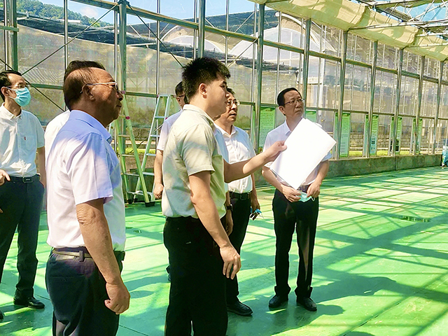 李建成副省長和謝華安院士等領導調(diào)研萬賓水稻表型分析平臺(圖1)
